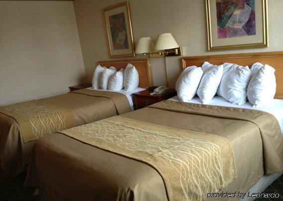 Comfort Inn Meadowvale Mississauga Habitación foto
